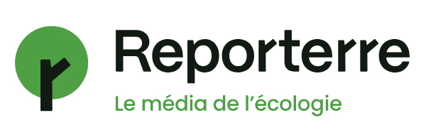 La Cour des comptes critique le bilan environnemental de la centrale biomasse de Gardanne