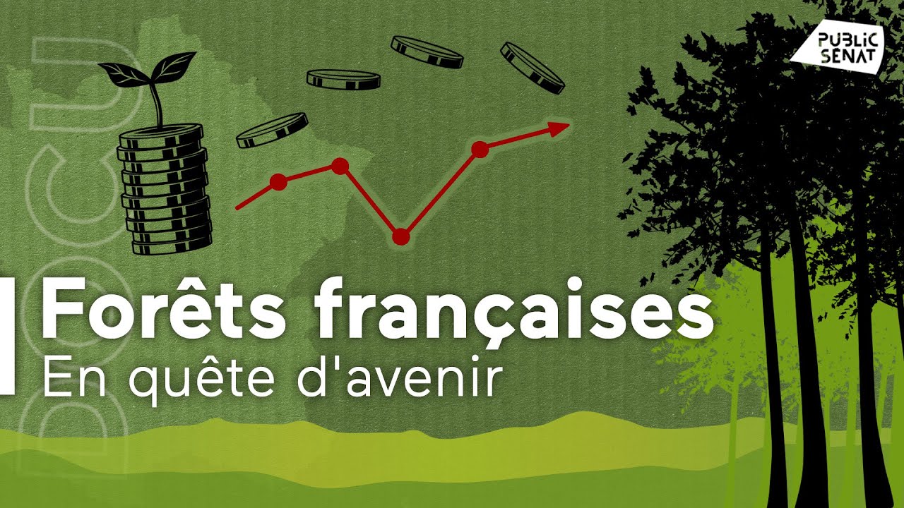 Projection docu « Forêts françaises en quête d’avenir ? »